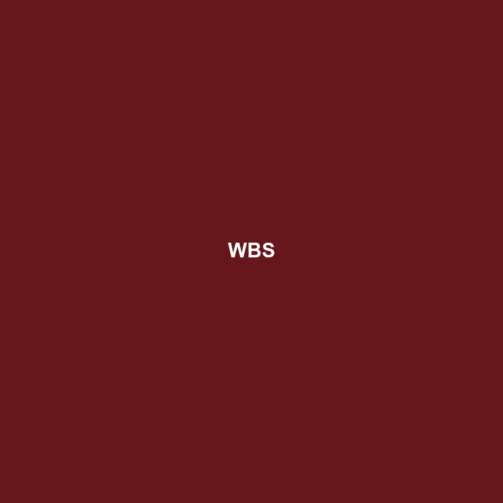 WBS