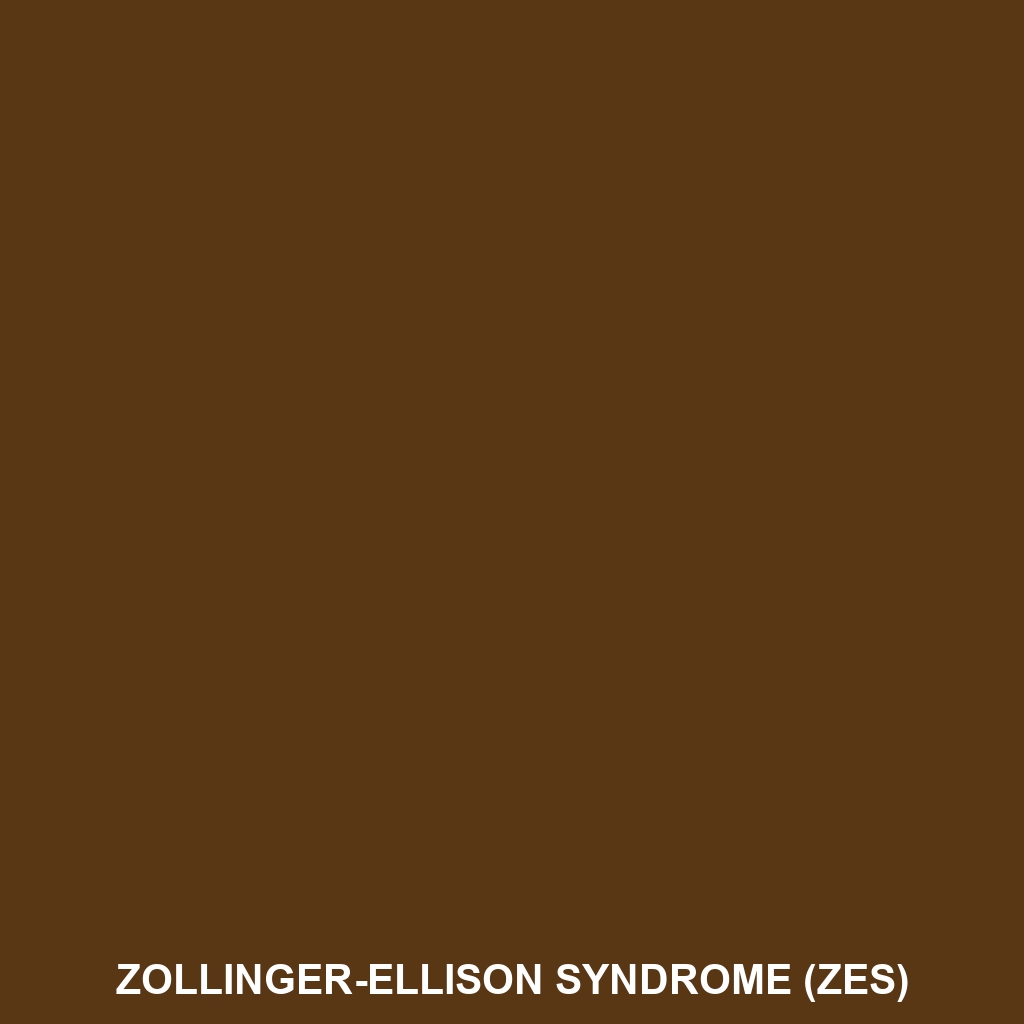 Zollinger-Ellison syndrome (ZES)