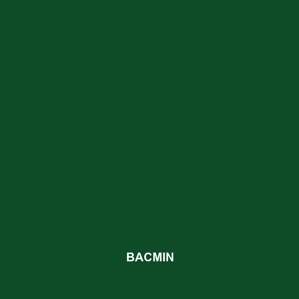 Bacmin