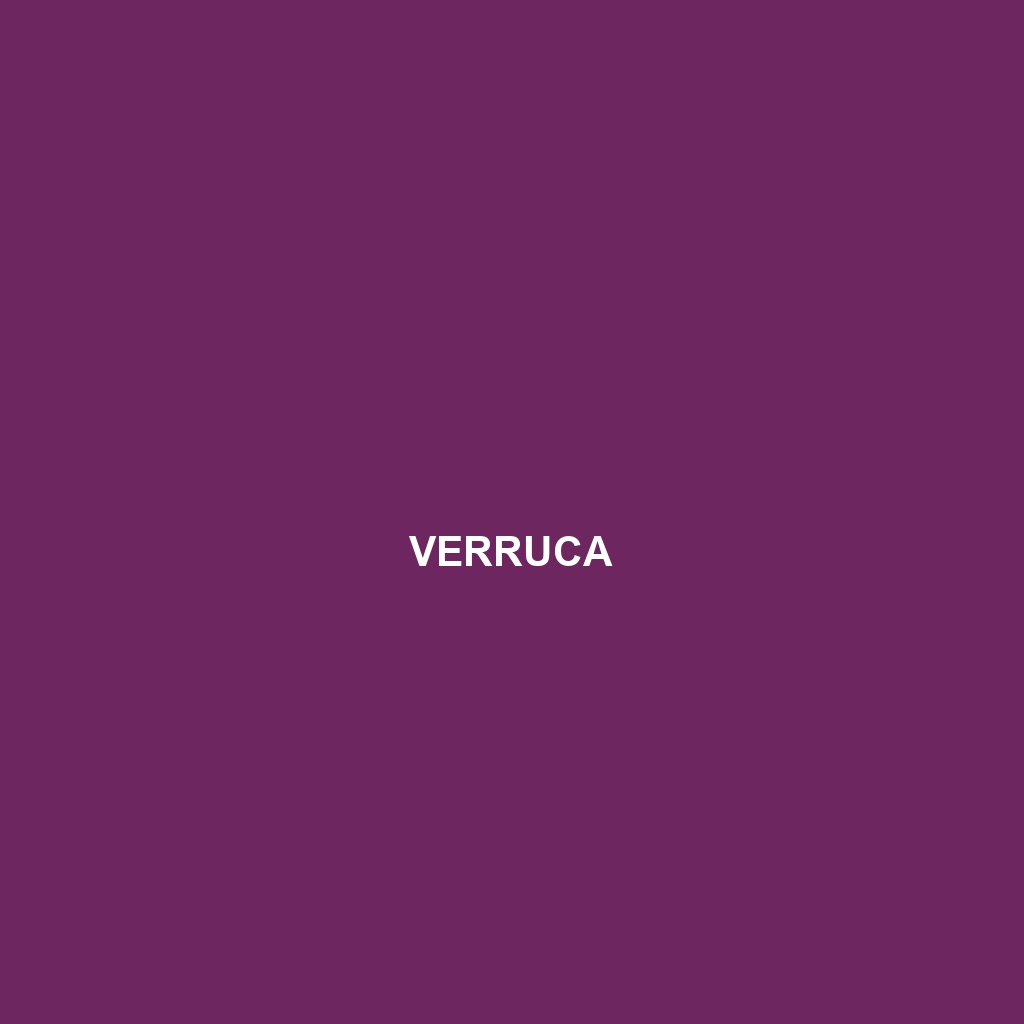 Verruca