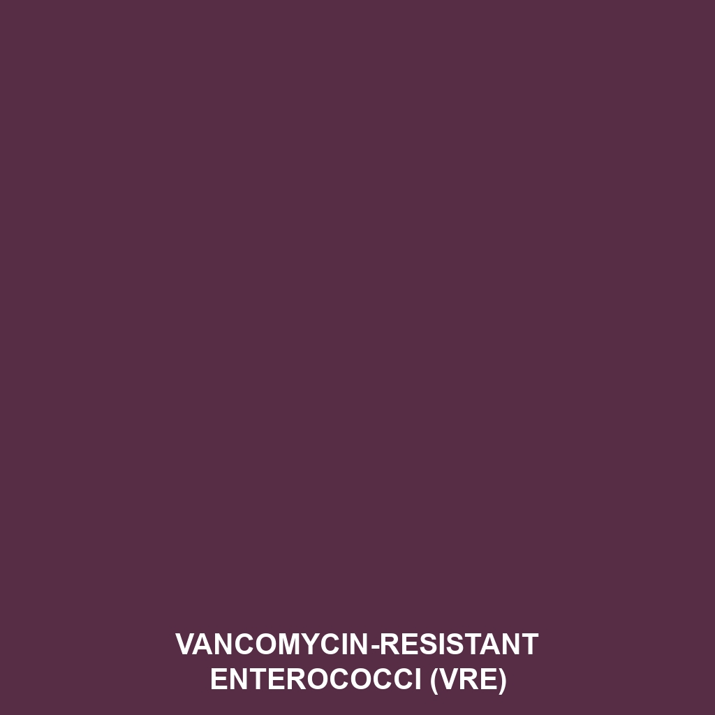 Vancomycin-Resistant Enterococci (VRE)