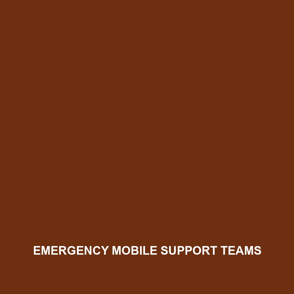 Emergency Mobile Support Teams