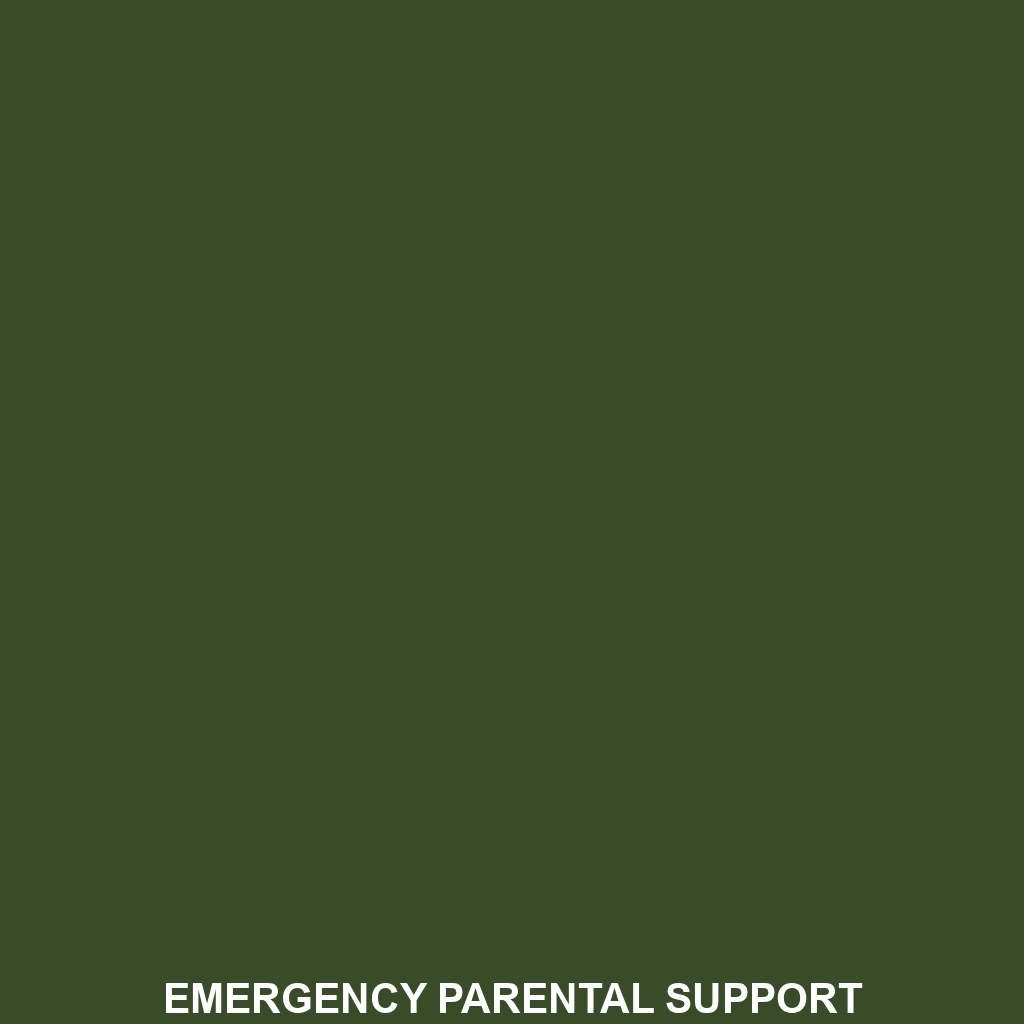 Emergency Parental Support Groups